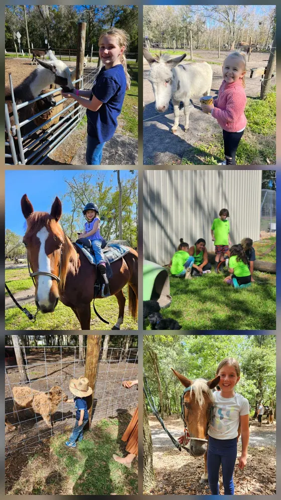 Children feeding animals, riding a pony, and helping around Tree House Farm